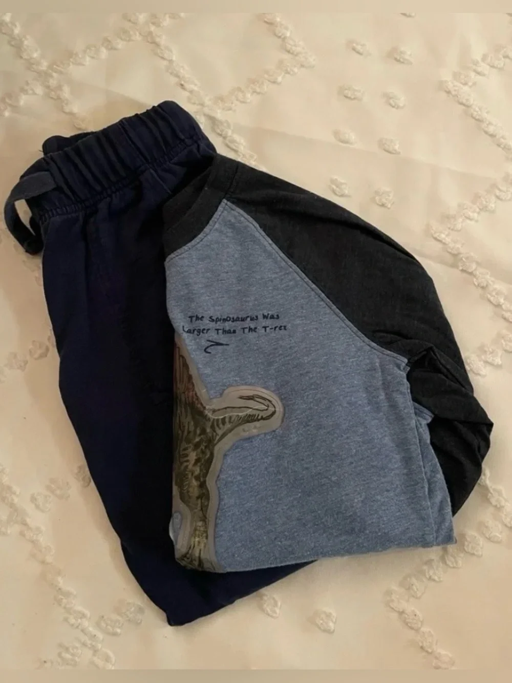Kids Navy Blue Dinosaur OshKosh Set